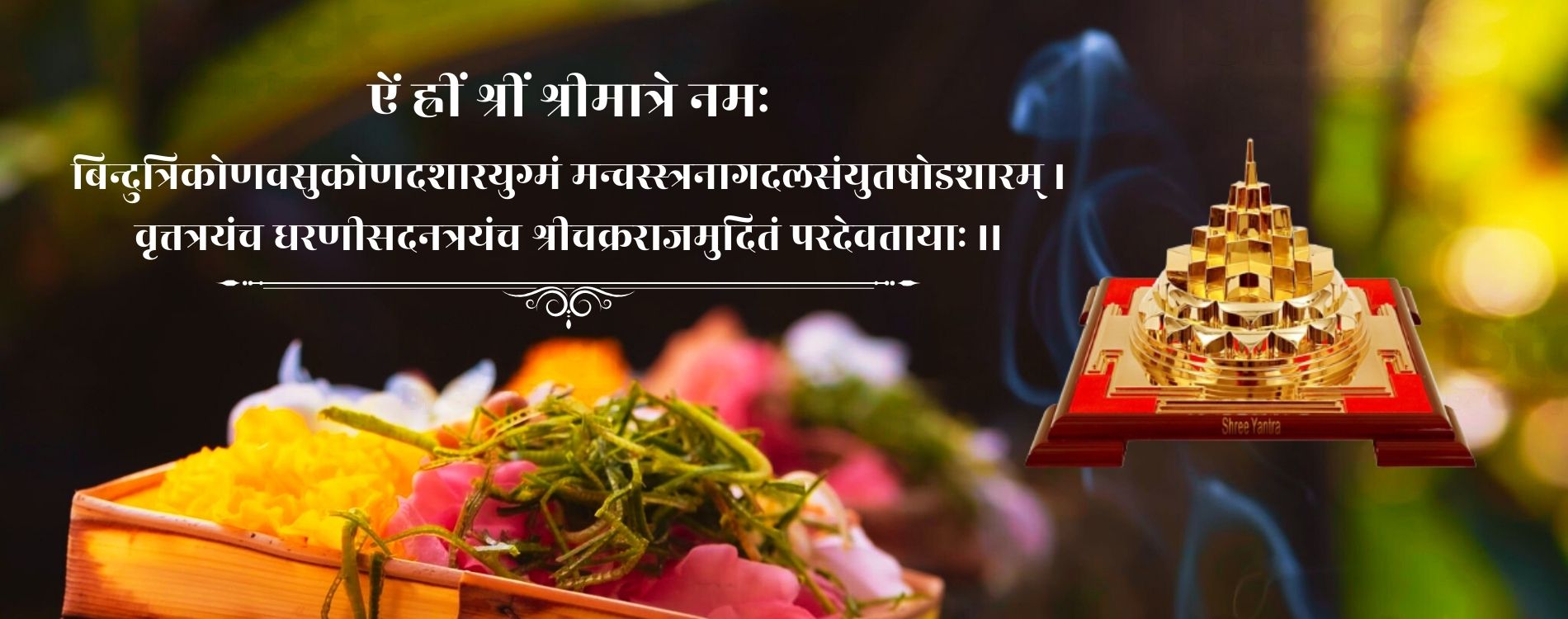 Shri Vidya India