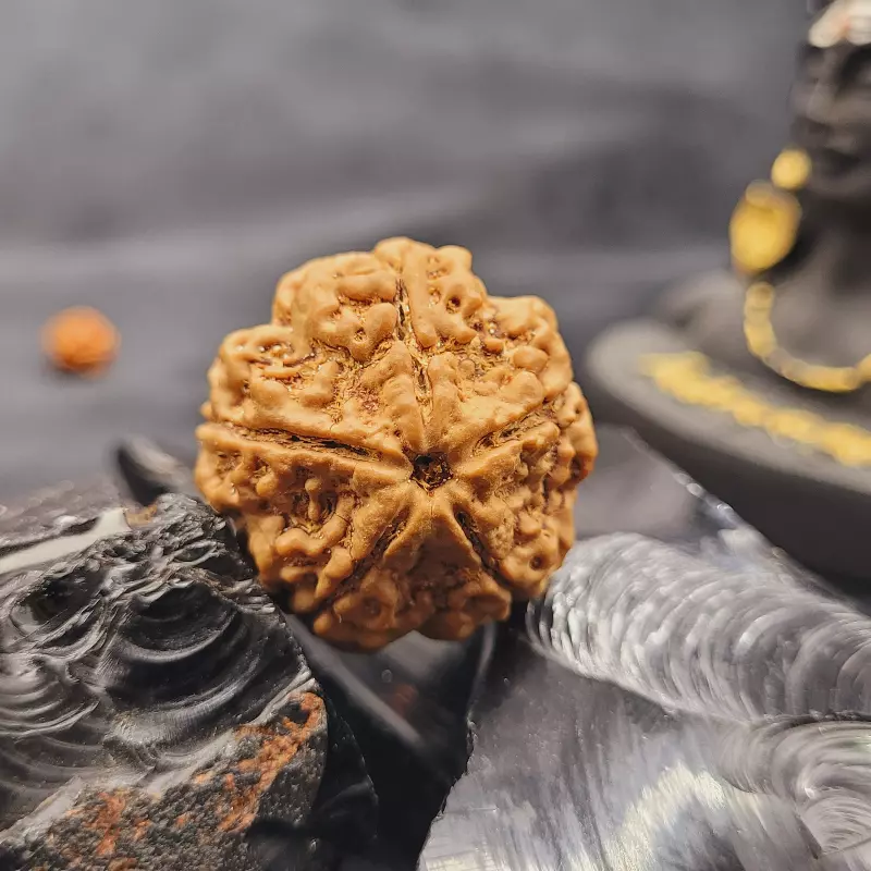 Ruling God: Rudra Kalagni